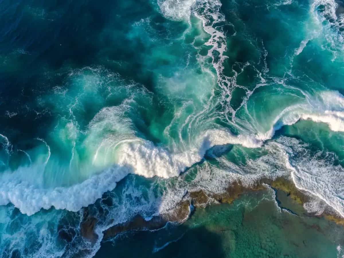 Futuro oceani, l’impatto dell’uomo rischia di raddoppiare entro il 2050