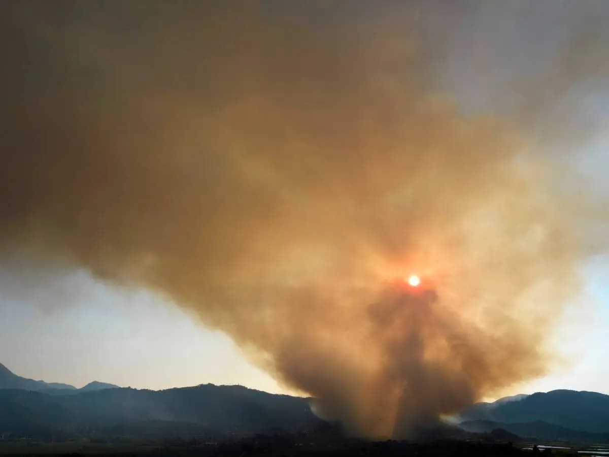 Fumo degli incendi, la luce del sole lo rende ancora più pericoloso