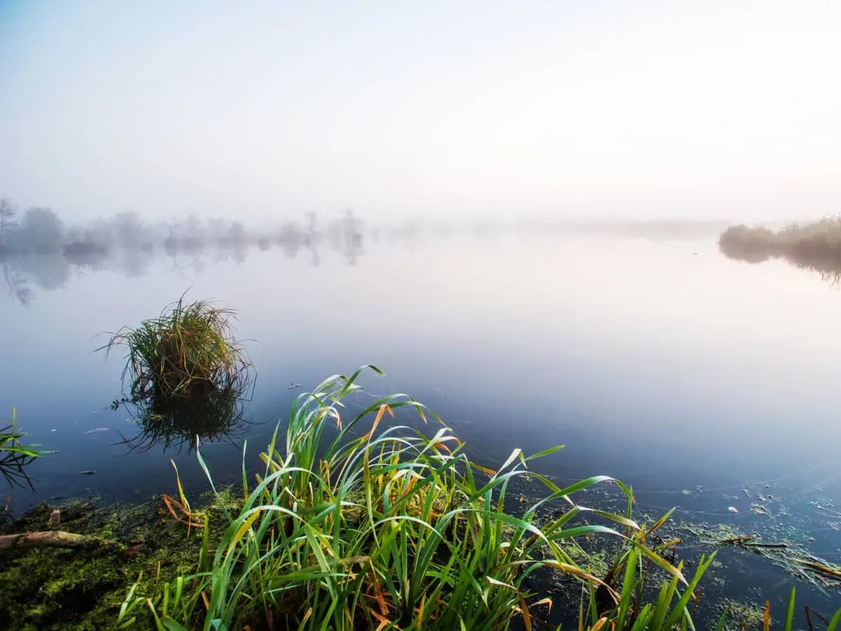 Laghi, le emissioni di metano rischiano di raddoppiare