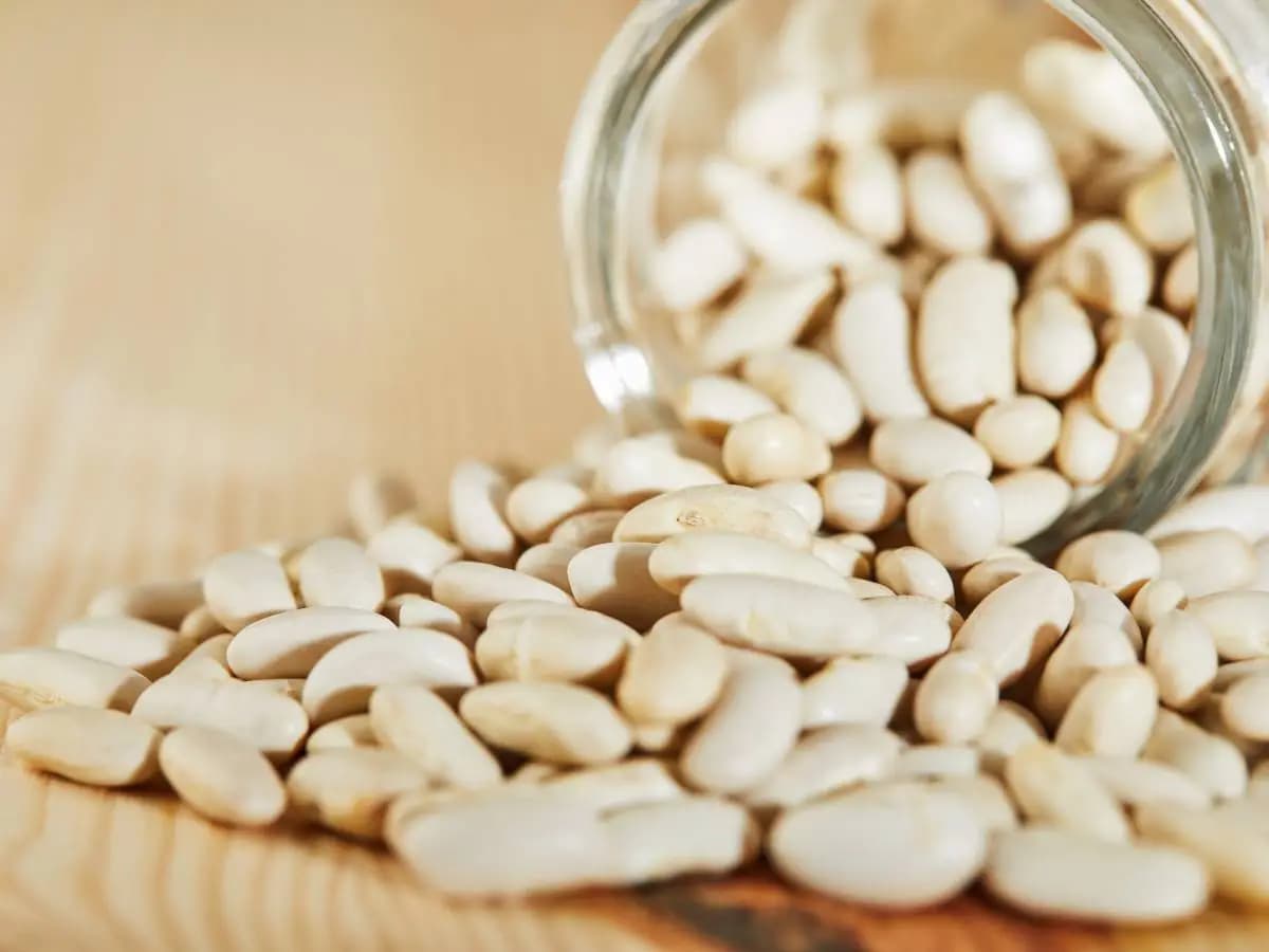 Qual è la differenza tra fagioli borlotti e cannellini