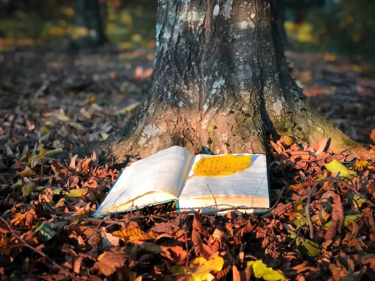 Le poesie più belle sulle foglie che cadono