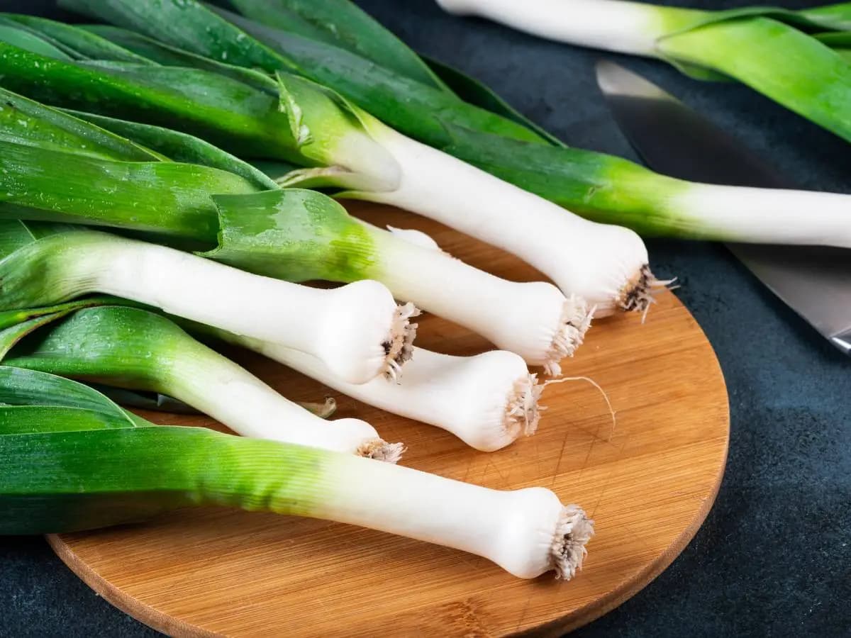Porro e cipollotto, differenza, sapore e usi in cucina